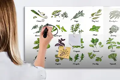 Tablica magnetyczna z pisakiem gatunki drzew
