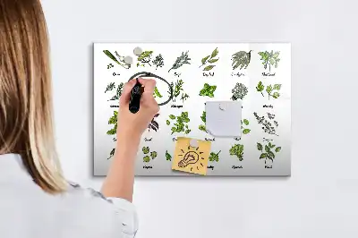 Tablica magnetyczna z pisakiem gatunki drzew