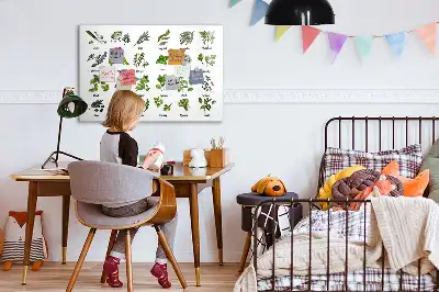 Tablica magnetyczna z pisakiem gatunki drzew