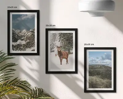 Zestaw 3 obrazów w ramie góry ze śniegiem i jeleń w lesie z motywem krajobrazu
