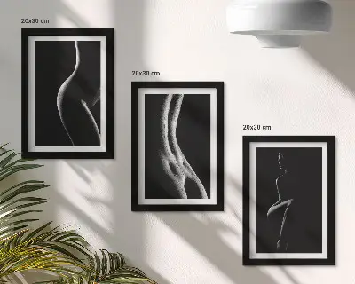Zestaw obrazów dekoracja ścienna czarno-białe kobiece sylwetki w stylu erotycznym