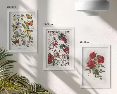 Zestaw 3 obrazów w ramie Motyle kwiaty i czerwone róże w klasycznym stylu