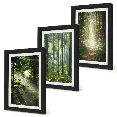 Zielone lasy z promieniami światła i leśną ścieżką tryptyk w ramie