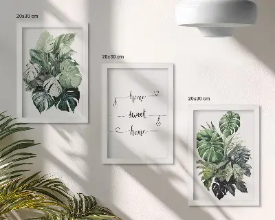 Zestaw 3 obrazów w ramie Akwarelowe liście monstery home sweet home