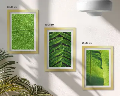 Tryptyk w ramie zbliżenia na liście tropikalna natura