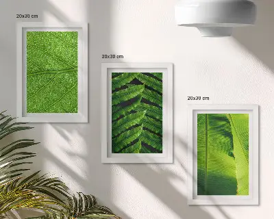 Tryptyk w ramie zbliżenia na liście tropikalna natura