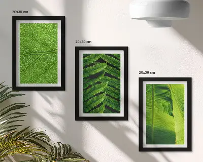 Tryptyk w ramie zbliżenia na liście tropikalna natura