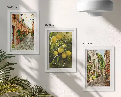Zestaw 3 obrazów w ramie Urokliwe uliczki z kwiatami i cytrynami w tle