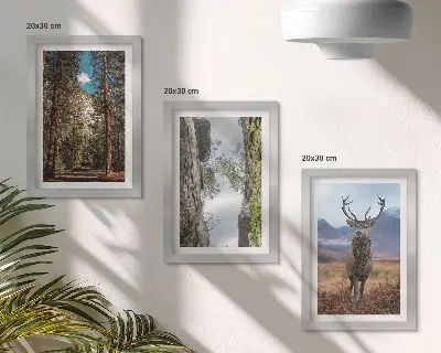 Droga w lesie góry i jeleń w naturze zestaw 3 obrazów w ramie