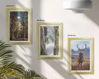 Droga w lesie góry i jeleń w naturze zestaw 3 obrazów w ramie