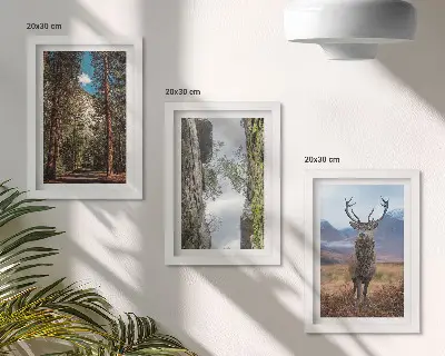 Droga w lesie góry i jeleń w naturze zestaw 3 obrazów w ramie