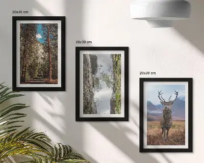 Droga w lesie góry i jeleń w naturze zestaw 3 obrazów w ramie
