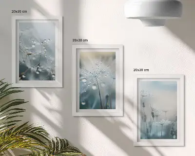 Zestaw obrazów dekoracja ścienna krople rosy na delikatnych dmuchawcach