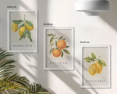 Dekoracja ścienna zestaw obrazów cytryny i pomarańcze z włoskiego wybrzeża Amalfi