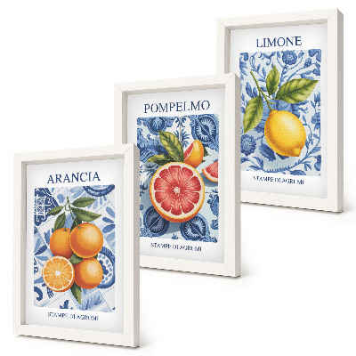 Tryptyk w ramie Owocowe ilustracje cytrusów w stylu vintage
