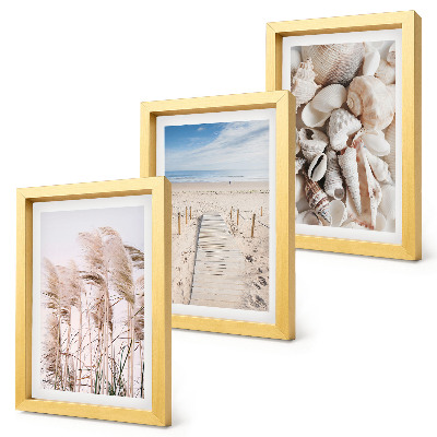 Dekoracja ścienna zestaw obrazów Piaszczysta plaża z muszlami i trawą nadmorską