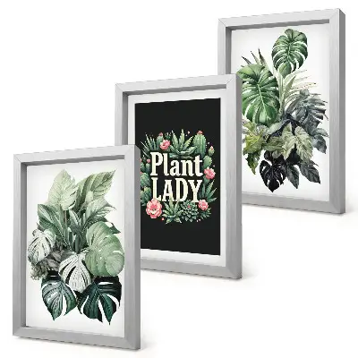 Dekoracja ścienna zestaw obrazów Rośliny tropikalne z napisem Plant Lady w zieleni