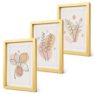Zestaw 3 obrazów w ramie Minimalistyczne rysunki roślinne w pastelowych barwach