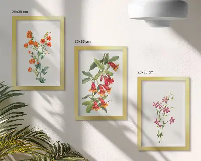 Zestaw 3 obrazów w ramie Malunek kwiatów w stylu vintage retro