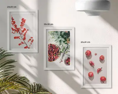 Zestaw obrazów dekoracja ścienna czerwone owoce i rośliny w stylu minimalistycznym
