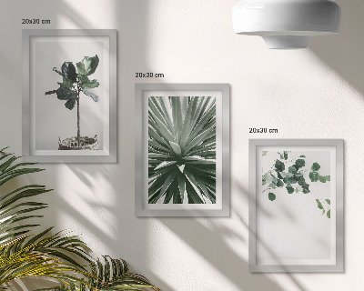 Zestaw 3 obrazów w ramie Zielone rośliny w minimalistycznym stylu