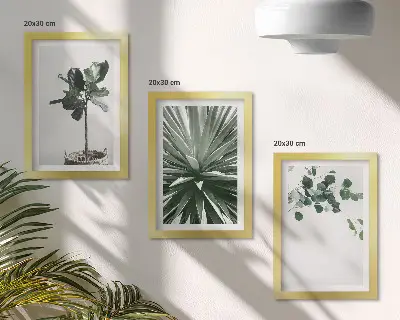 Zielone rośliny w minimalistycznym stylu zestaw 3 obrazów w ramie