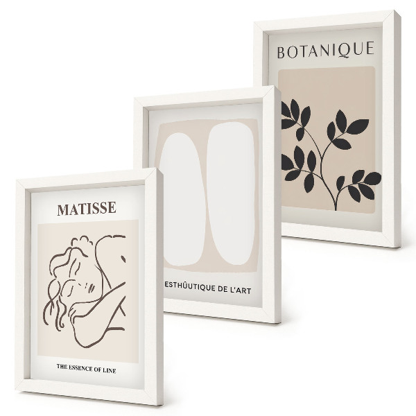 Dekoracja ścienna zestaw obrazów Stylowe minimalistyczne obrazy z motywami roślinnymi Matisse