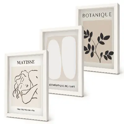 Zestaw obrazów dekoracja ścienna stylowe minimalistyczne obrazy z motywami roślinnymi w stylu Matisse'a
