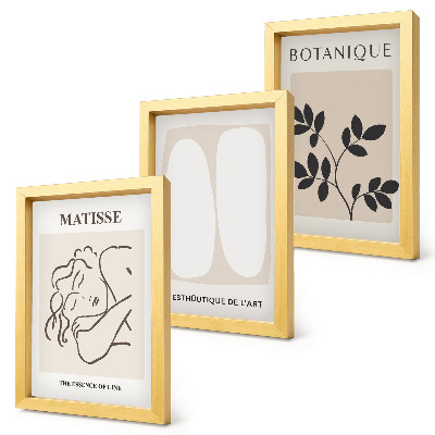 Dekoracja ścienna zestaw obrazów Stylowe minimalistyczne obrazy z motywami roślinnymi Matisse