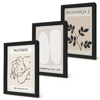Dekoracja ścienna zestaw obrazów Stylowe minimalistyczne obrazy z motywami roślinnymi Matisse