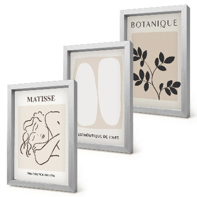 Dekoracja ścienna zestaw obrazów Stylowe minimalistyczne obrazy z motywami roślinnymi Matisse