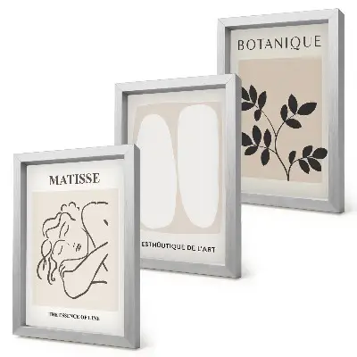 Zestaw obrazów dekoracja ścienna stylowe minimalistyczne obrazy z motywami roślinnymi w stylu Matisse'a