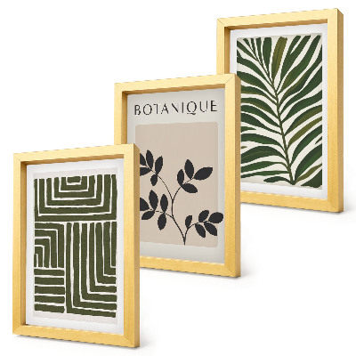 Zestaw 3 obrazów w ramie Botaniczne kompozycje w stylu boho minimalizm