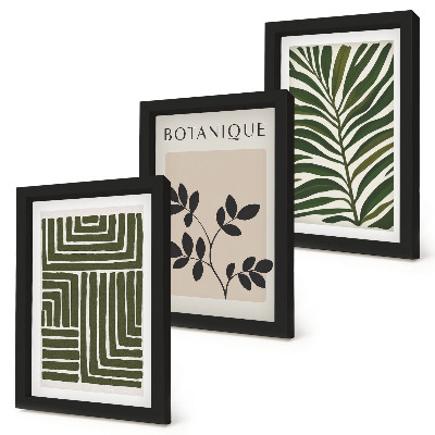 Zestaw 3 obrazów w ramie Botaniczne kompozycje w stylu boho minimalizm