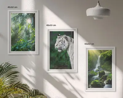 Zestaw obrazów do salonu z motywem dżungli, tygrysa i wodospadu