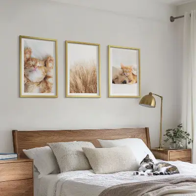 Kompozycja obrazów na ścianę ze słodkimi zwierzętami psami i kotami w stylu boho