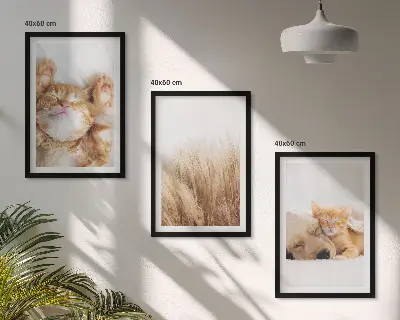 Kompozycja obrazów na ścianę ze słodkimi zwierzętami psami i kotami w stylu boho