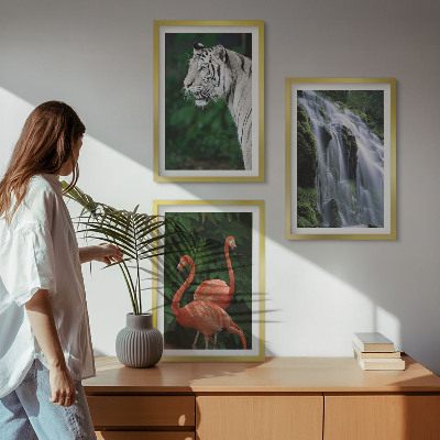 Zestaw 3 obrazów do salonu Tygrys wodospad flamingi natura