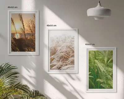 Zestaw 3 obrazów do salonu trawy w kolorach natury