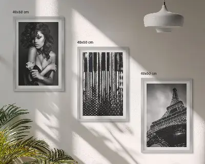 Zestaw 3 obrazów do salonu Portret kobiety z różą Eiffla