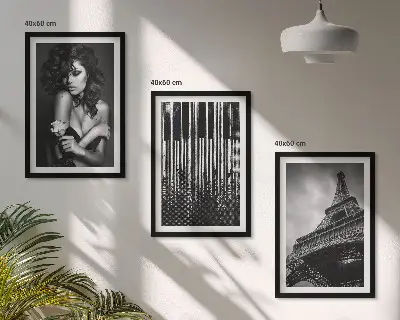 Zestaw 3 obrazów do salonu Portret kobiety z różą Eiffla