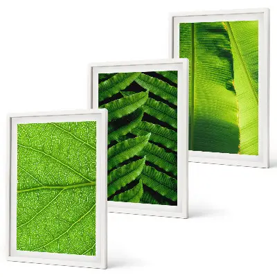 Kompozycja obrazów na ścianę liście tropikalne w makrofotografii