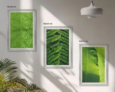 Kompozycja obrazów na ścianę liście tropikalne w makrofotografii