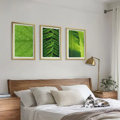 Kompozycja obrazów na ścianę liście tropikalne w makrofotografii