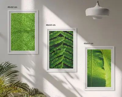 Kompozycja obrazów na ścianę liście tropikalne w makrofotografii