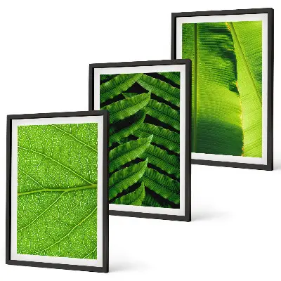 Kompozycja obrazów na ścianę liście tropikalne w makrofotografii