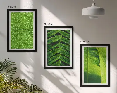 Kompozycja obrazów na ścianę liście tropikalne w makrofotografii