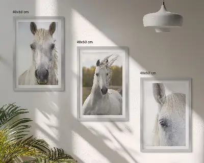 Zestaw obrazów do salonu z motywem białych koni w naturze