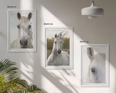 Zestaw obrazów do salonu z motywem białych koni w naturze