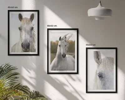 Zestaw obrazów do salonu z motywem białych koni w naturze